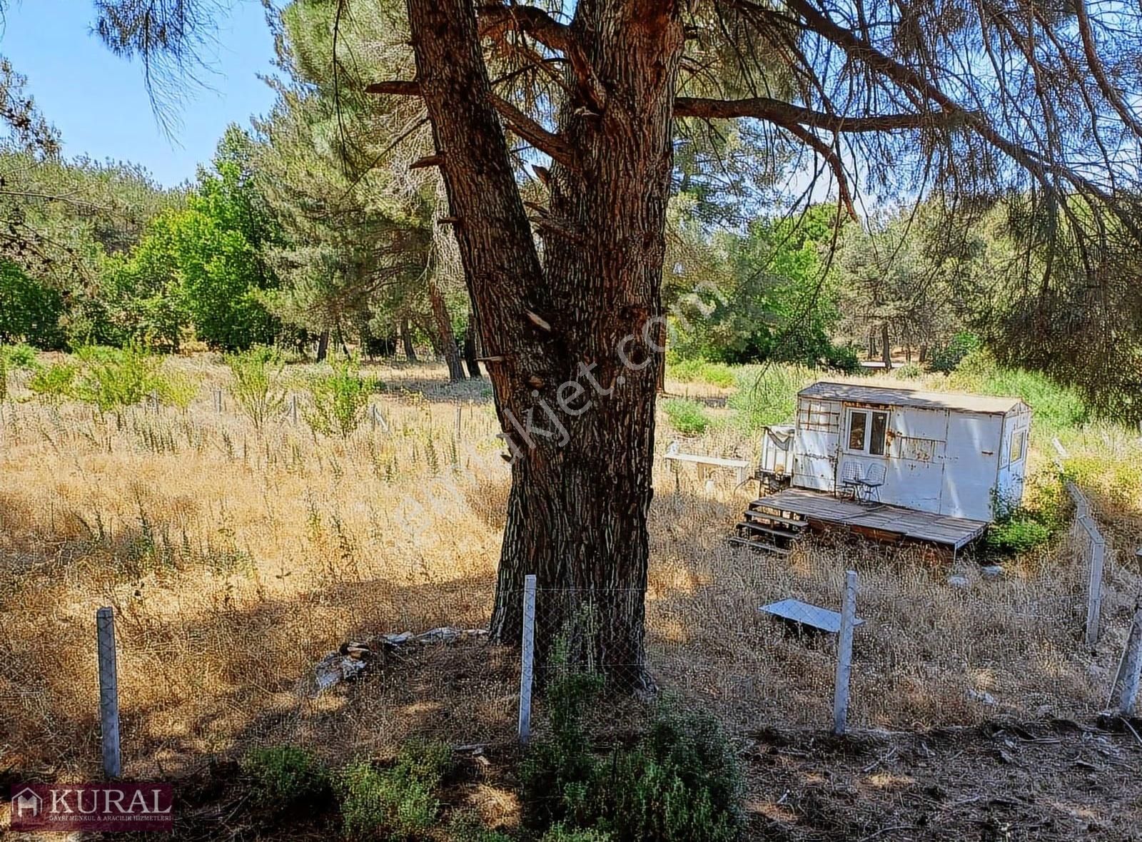 Ataköy Karacadağda Konteynerevi Tek Müstakil Tapu Menderes İzmir - Görsel 17