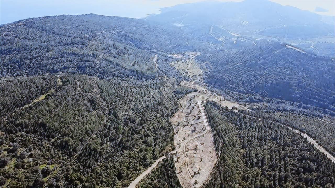 228m2,parsel Doğa İçinde,denize 2.5 Km Yakınlıkta,yatırıma Uygun - Görsel 3