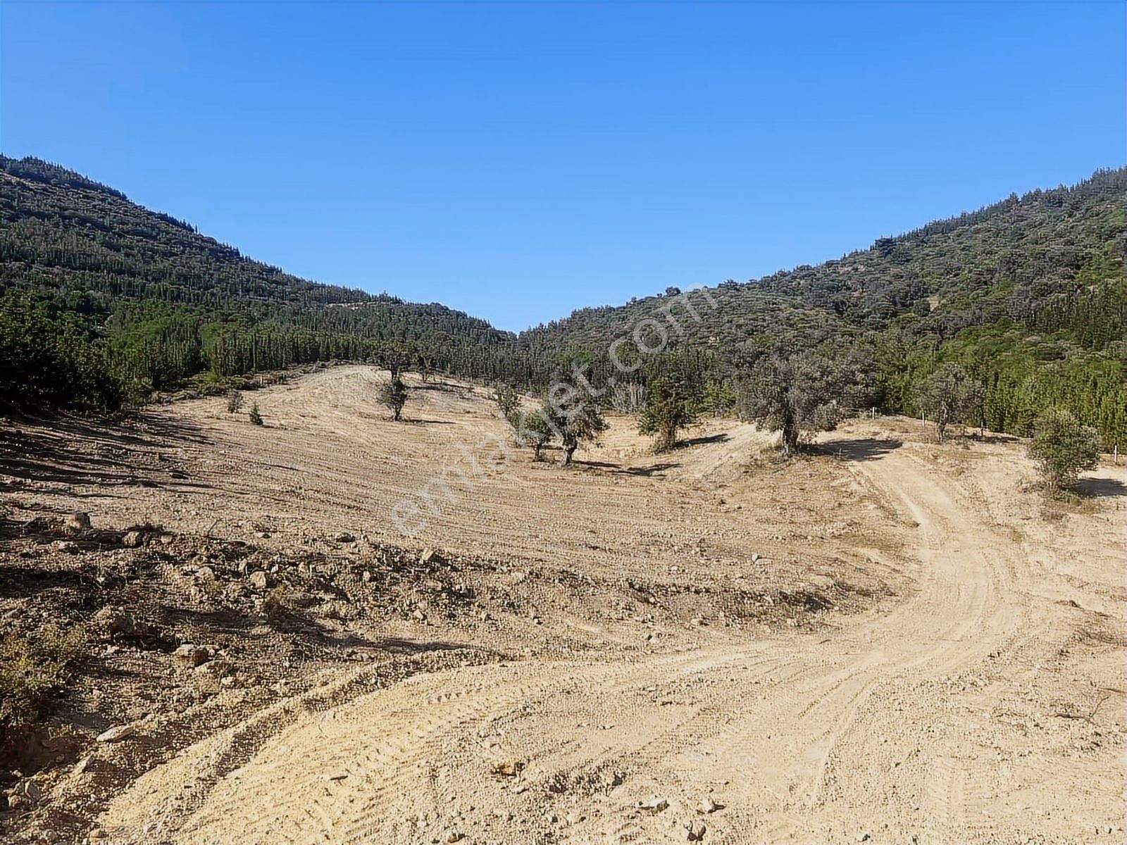 228m2,parsel Doğa İçinde,denize 2.5 Km Yakınlıkta,yatırıma Uygun - Görsel 10