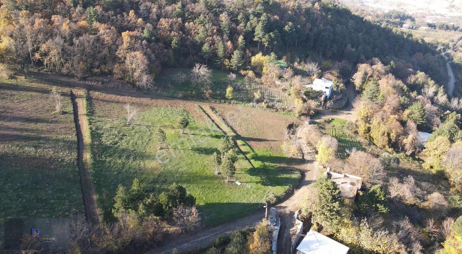 Kestel Derekızık Da Köyün Dibinde Satılık 300m2 Hobi Bahçesi - Görsel 3