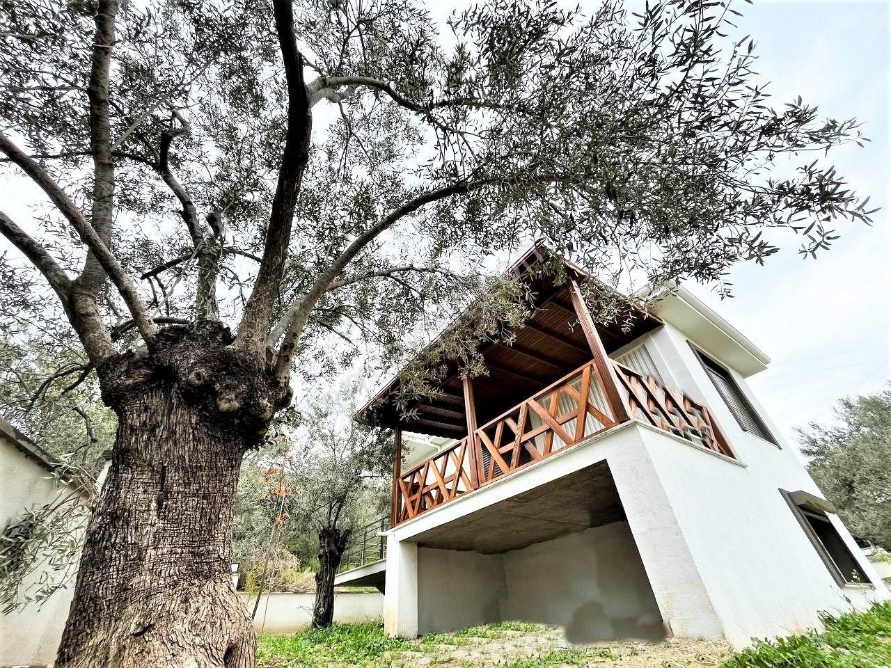 👉aygülden Güre'de Sıfır Ful Deniz Manzaralı 300 M2 Arsa İçi Tam Bağımsız 3+1 Satılık Mustakil Villa - Görsel 33