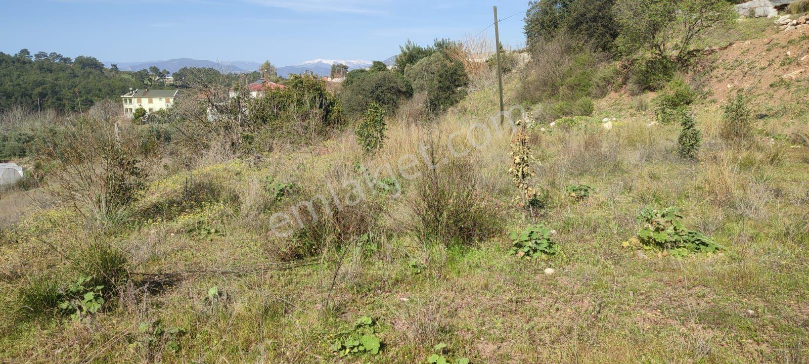 Erentepe Mükemmel Kon - Görsel 15