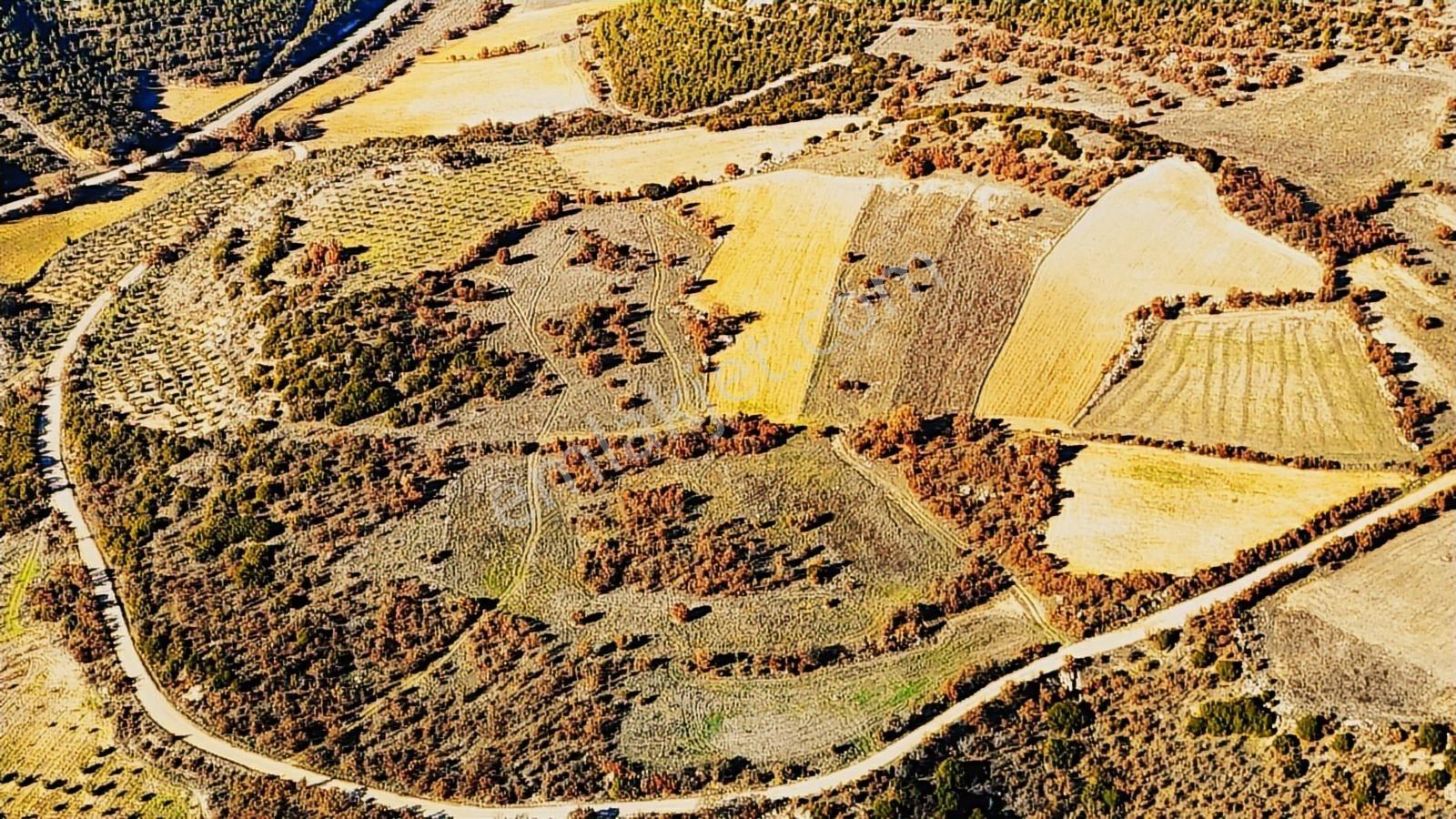 Köprübaşı Borlu'da Satılık 400 Dönüm Arazi - Görsel 13