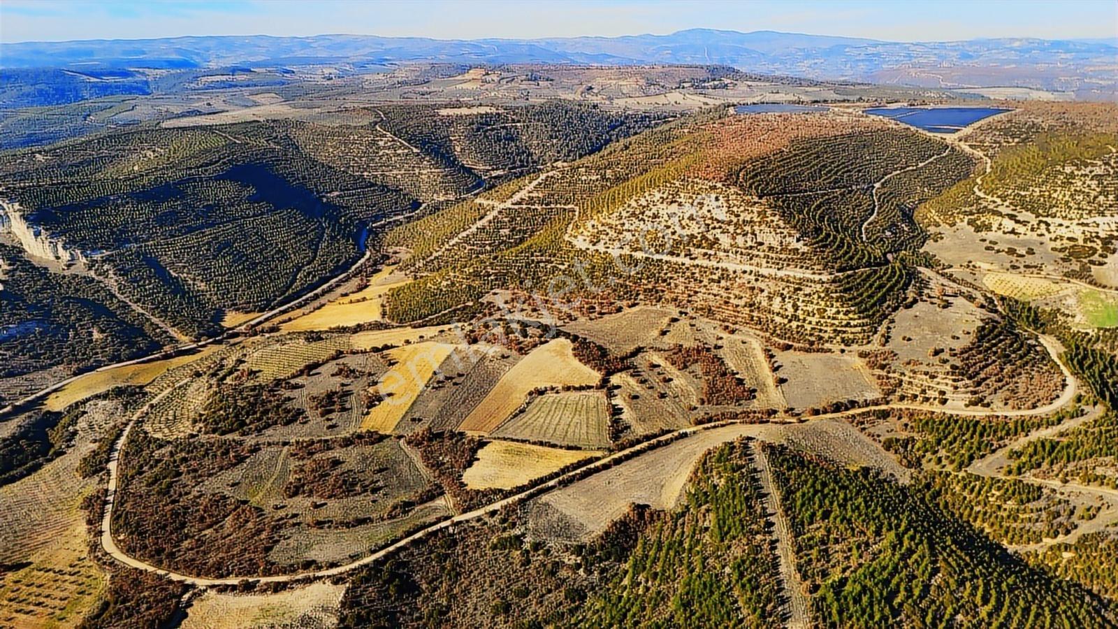 Köprübaşı Borlu'da Satılık 400 Dönüm Arazi - Görsel 10