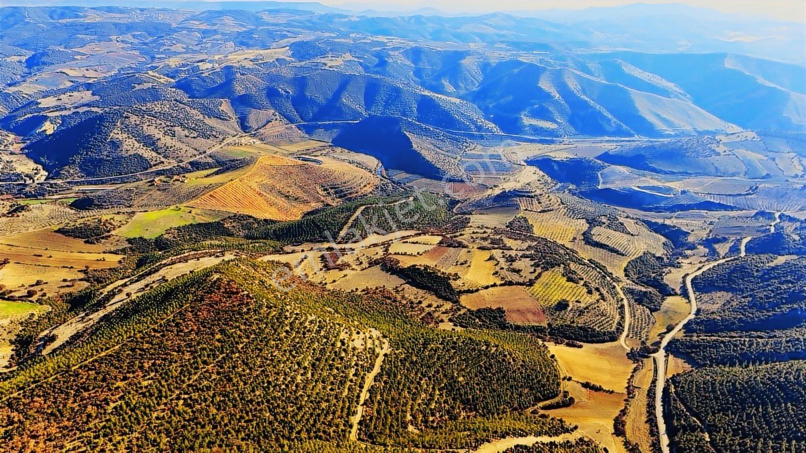 Köprübaşı Borlu'da Satılık 400 Dönüm Arazi - Görsel 9