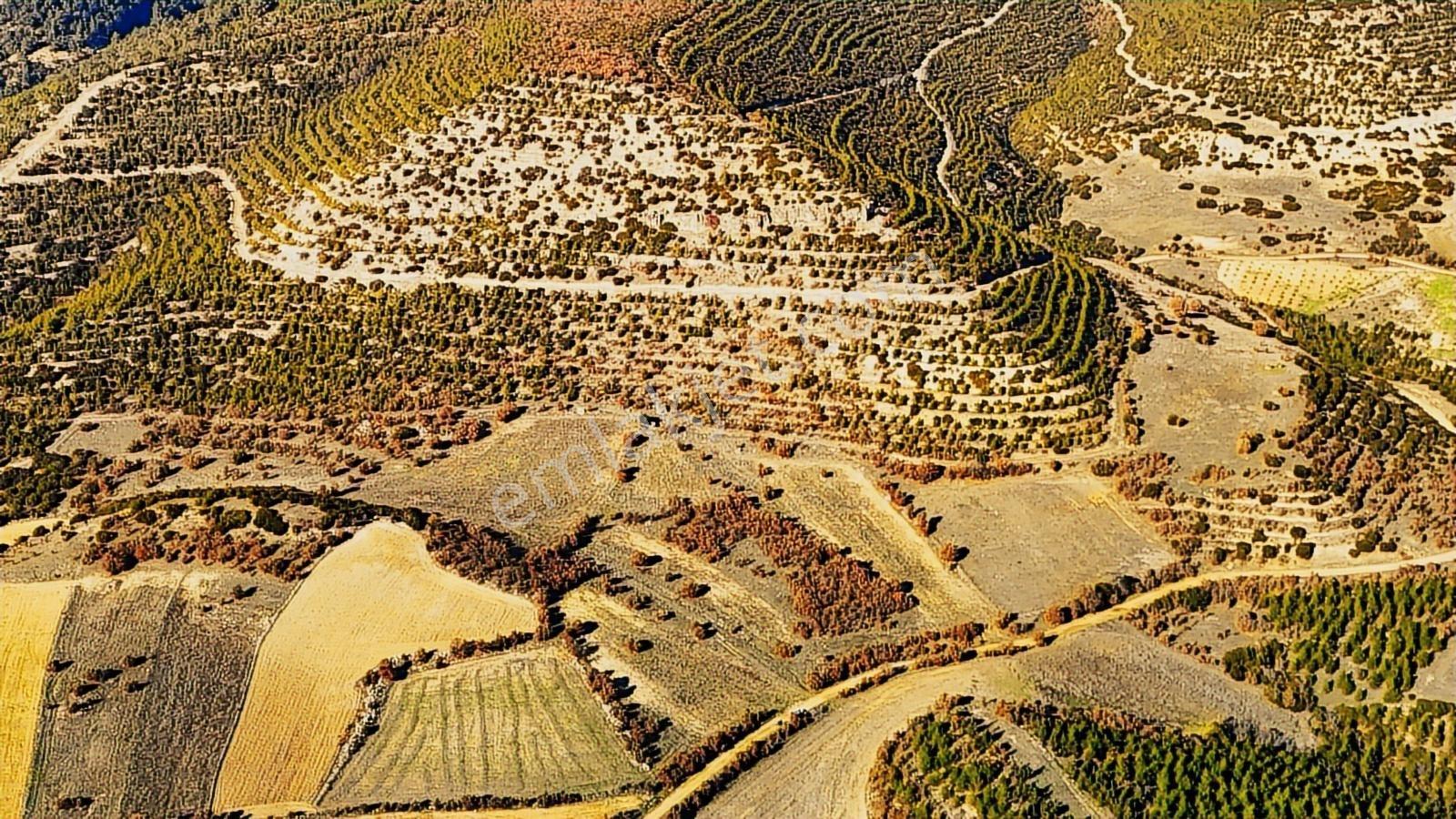 Köprübaşı Borlu'da Satılık 400 Dönüm Arazi - Görsel 15