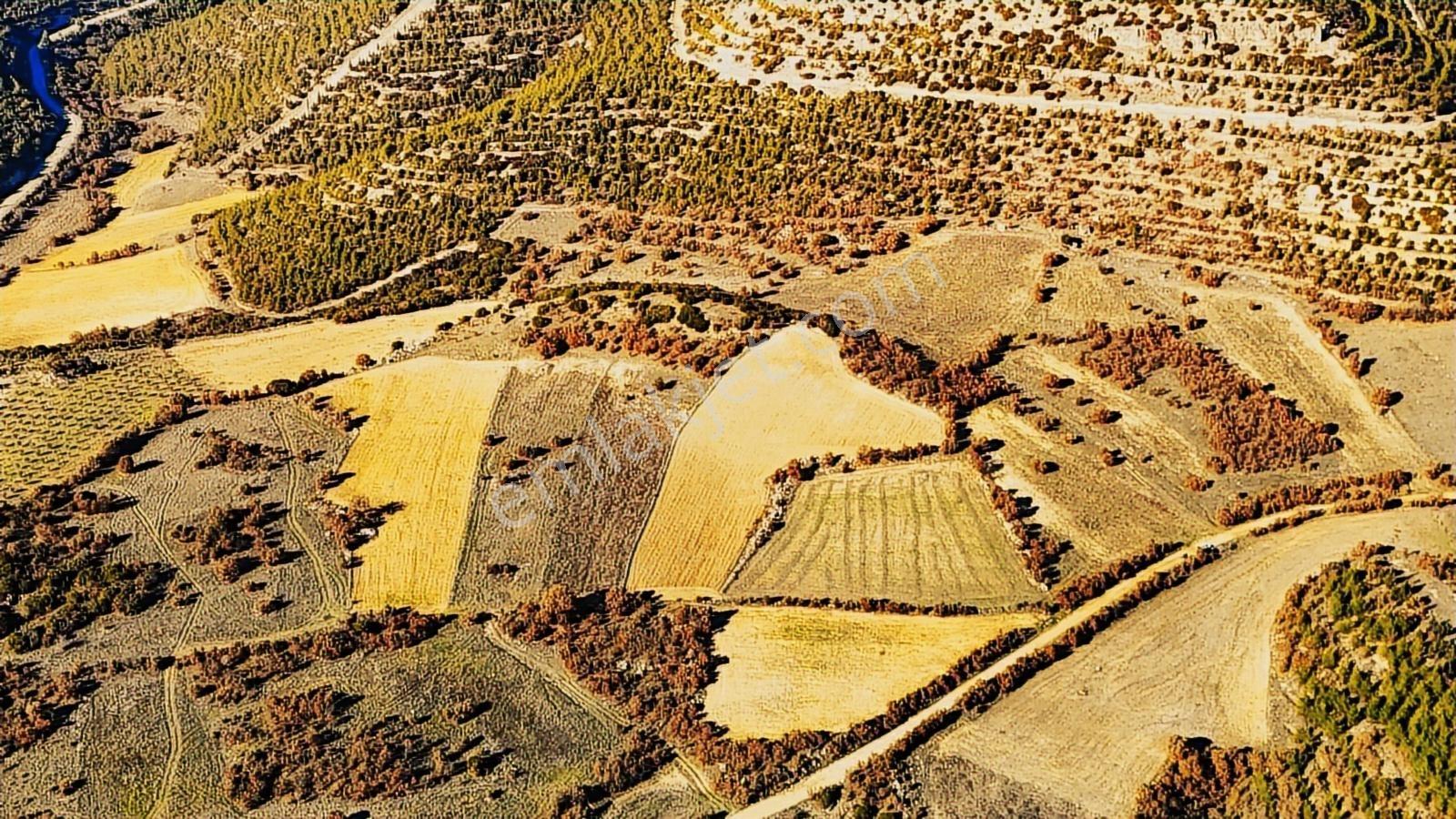 Köprübaşı Borlu'da Satılık 400 Dönüm Arazi - Görsel 14