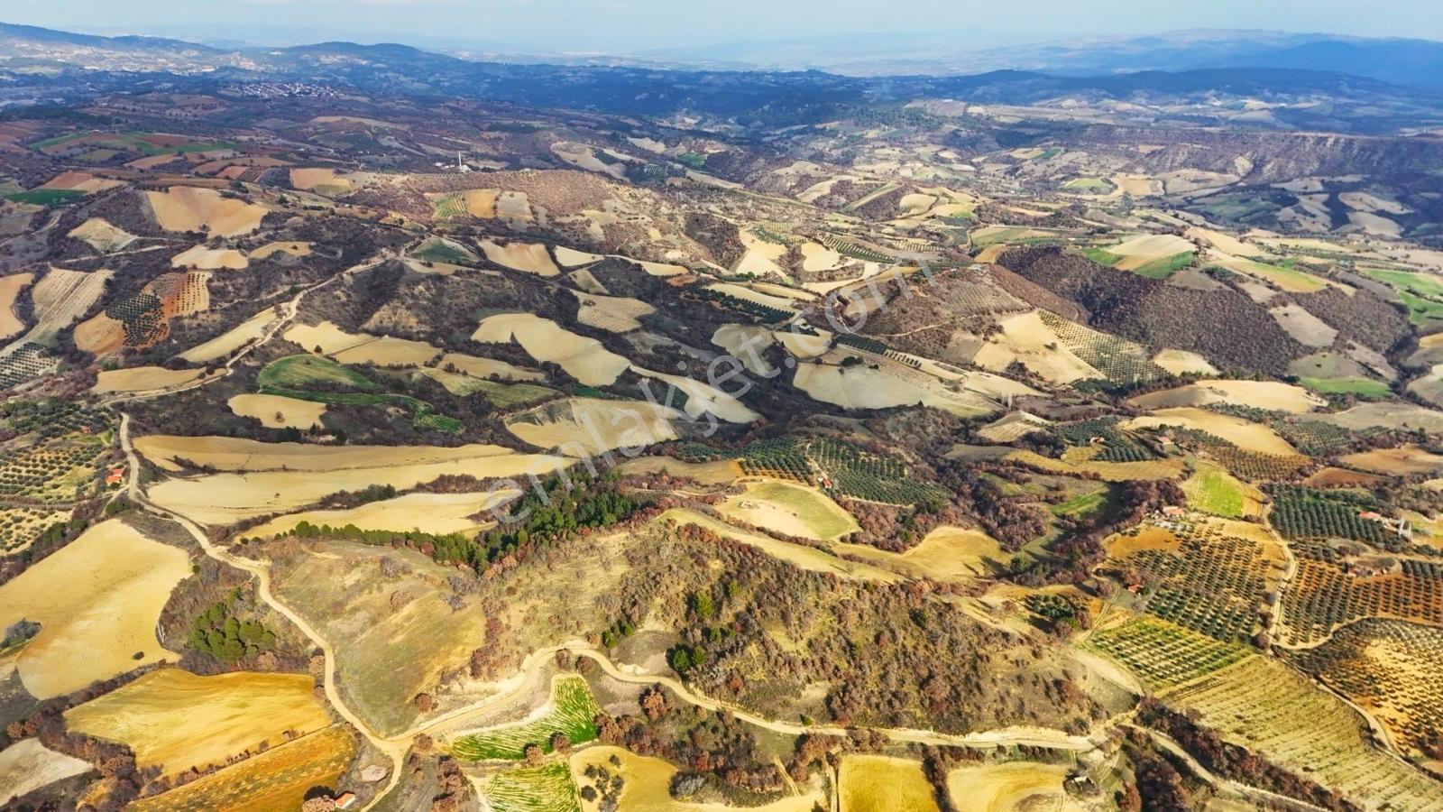 Gördes Malkoca'da Satılık 26173 M2 Arazi - Görsel 7