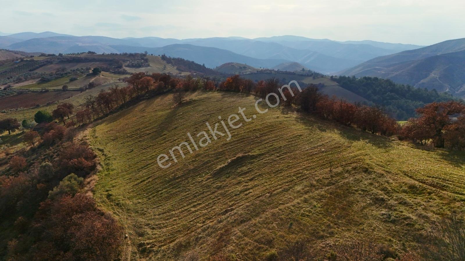 Gördes Malkoca'da Satılık 26173 M2 Arazi - Görsel 21