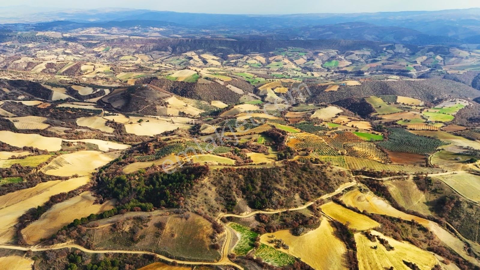Gördes Malkoca'da Satılık 26173 M2 Arazi - Görsel 8