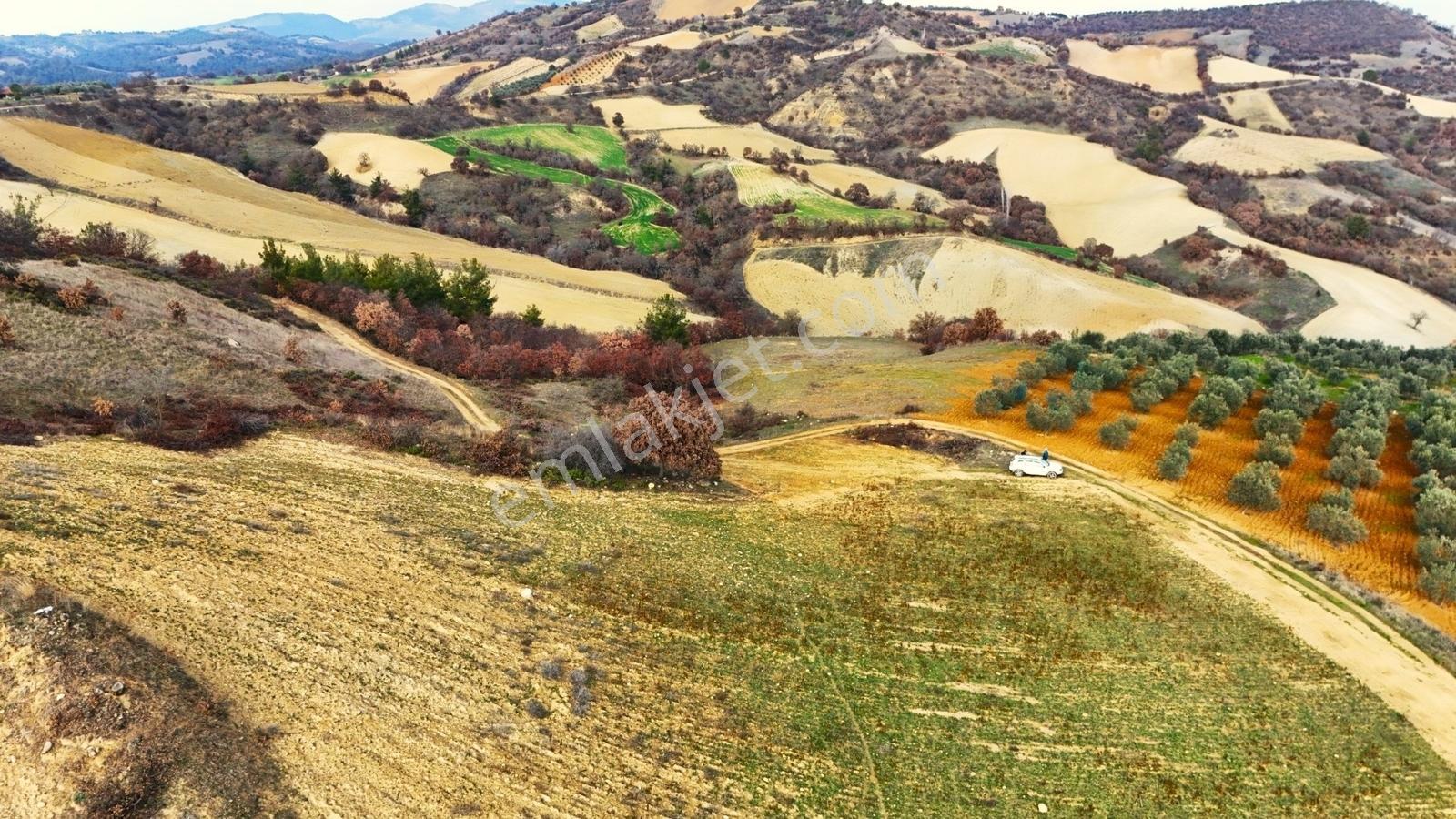 Gördes Malkoca'da Satılık 26173 M2 Arazi - Görsel 3
