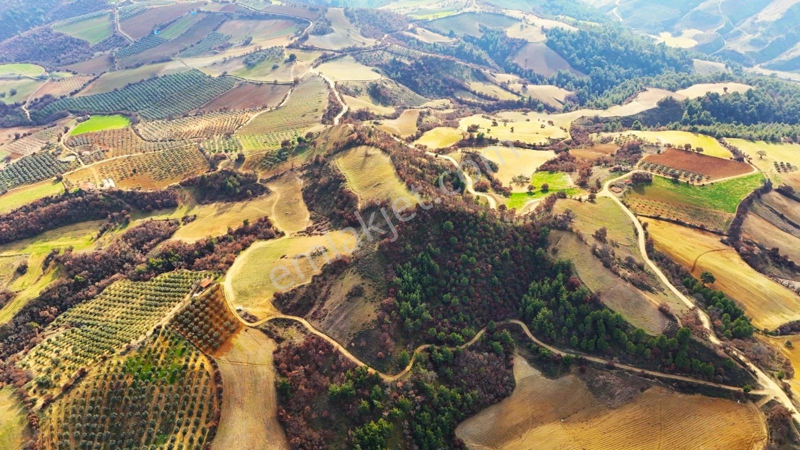 Gördes Malkoca'da Satılık 26173 M2 Arazi - Görsel 31