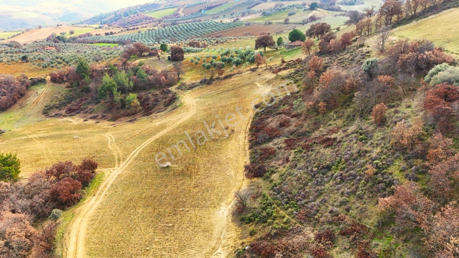 Gördes Malkoca'da Satılık 26173 M2 Arazi - Görsel 34