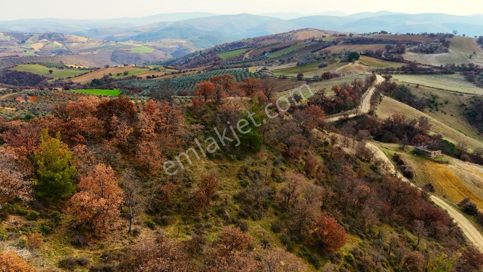 Gördes Malkoca'da Satılık 26173 M2 Arazi - Görsel 2