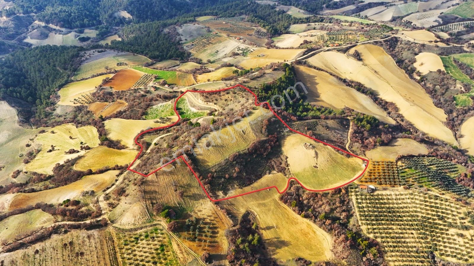 Gördes Malkoca'da Satılık 26173 M2 Arazi - Görsel 25