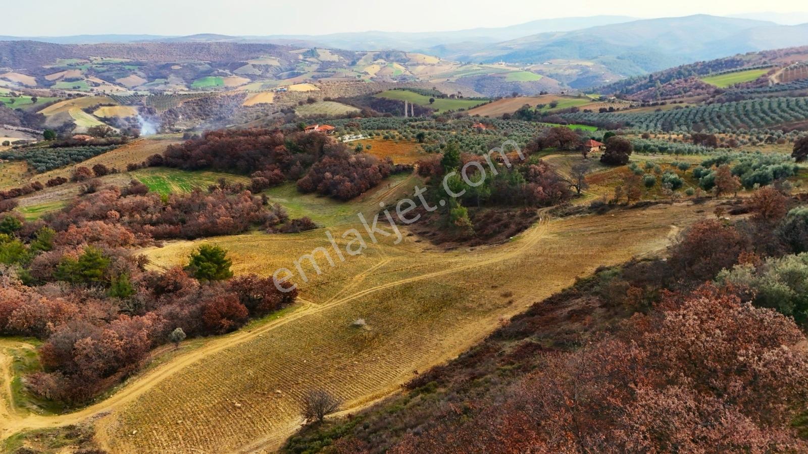 Gördes Malkoca'da Satılık 26173 M2 Arazi - Görsel 12