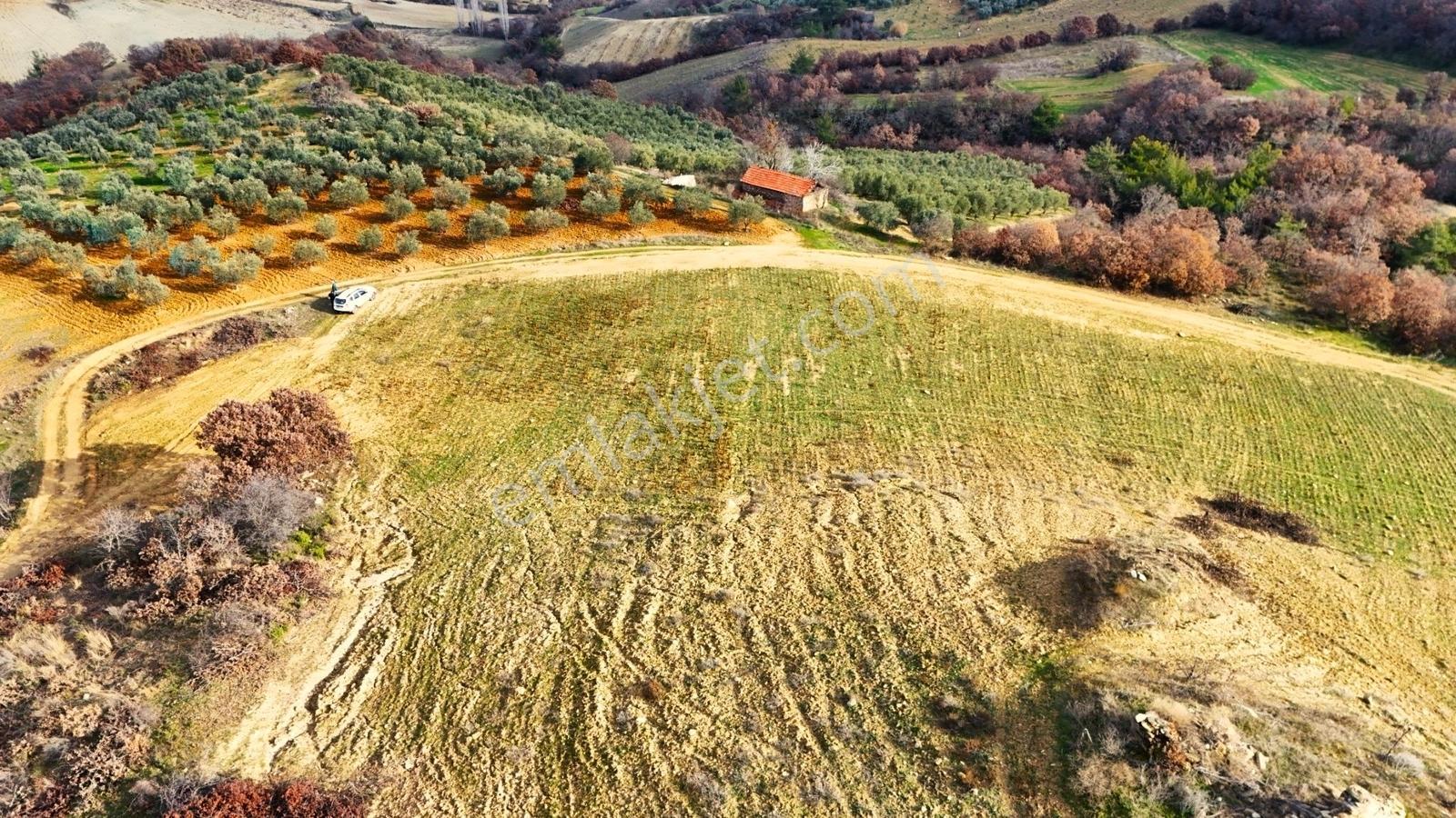 Gördes Malkoca'da Satılık 26173 M2 Arazi - Görsel 35