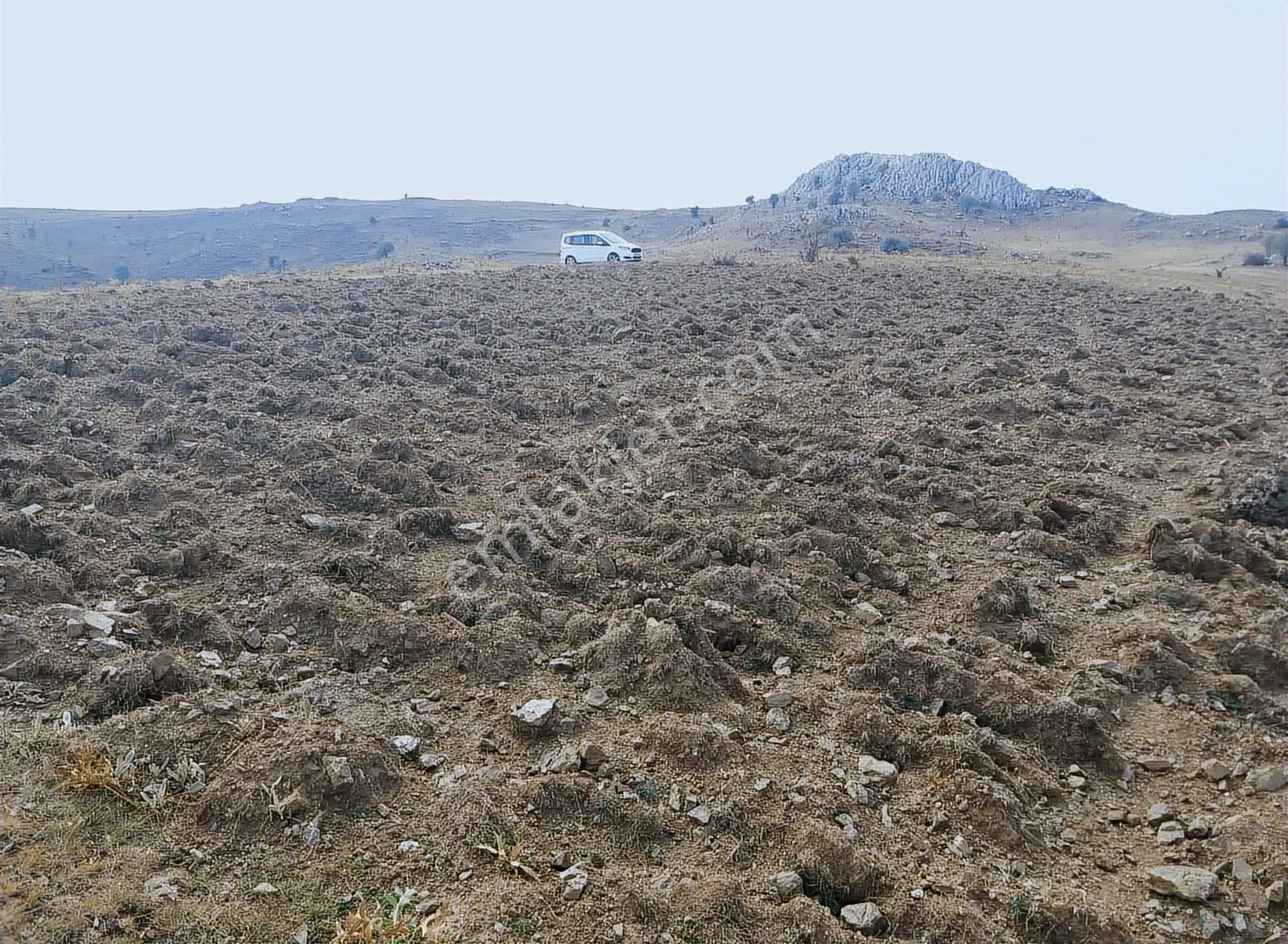 Nova'dan Çubuk Küçükalide,mera Yanında 7790 M2 Tarla-fiyat Düştü - Görsel 2