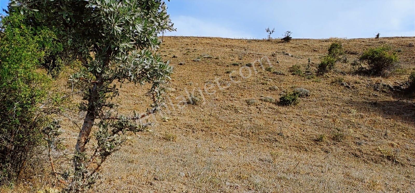 Nova'dan Çubuk Küçükalide,mera Yanında 7790 M2 Tarla-fiyat Düştü - Görsel 26