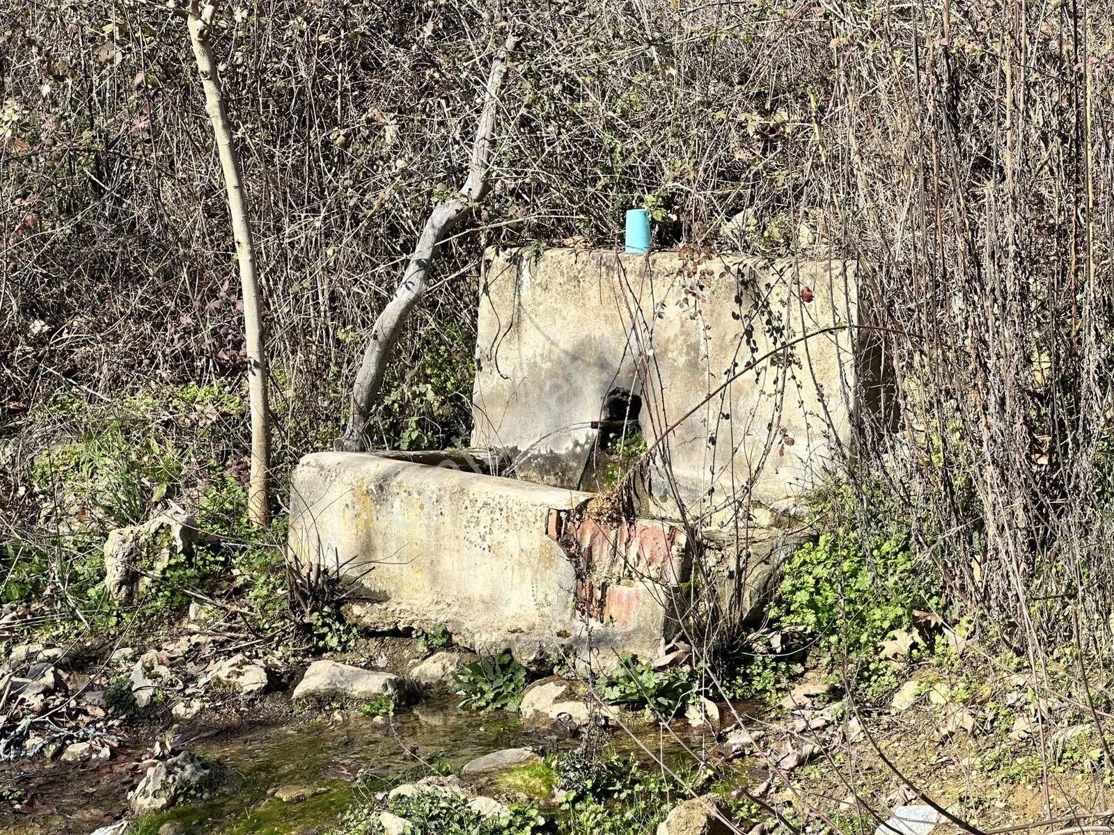 Remax Pin'den Dağyeni'de Satılık 9700 M2 Yolu Olan Zeytinlik - Görsel 29