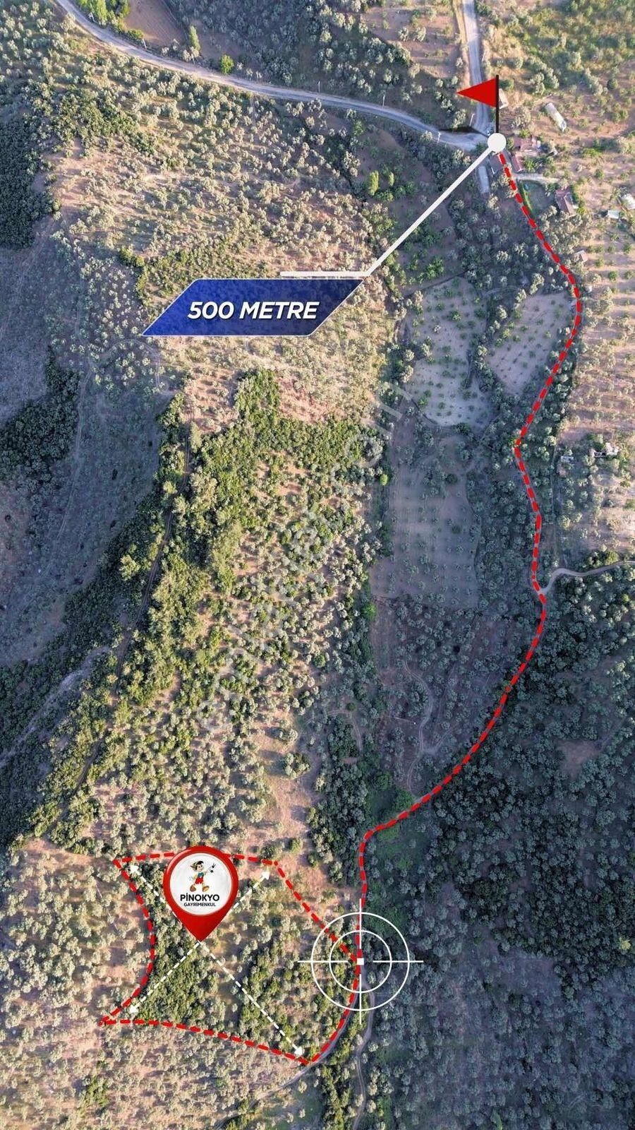 Remax Pin'den Dağyeni'de Satılık 9700 M2 Yolu Olan Zeytinlik - Görsel 12