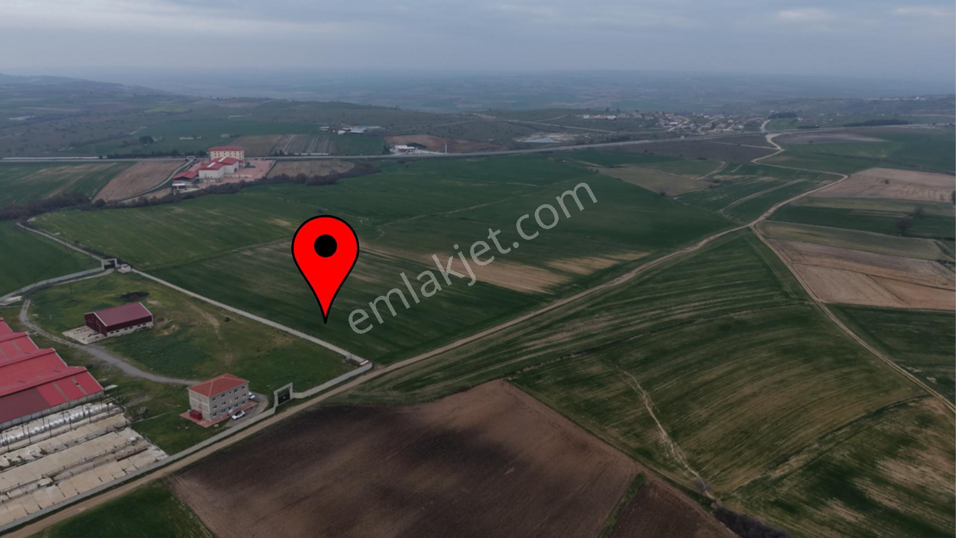 Edirne İpsala Sarpdere-satılık Tarla-iki Ayrı Tapu-73.350 M2 - Görsel 3