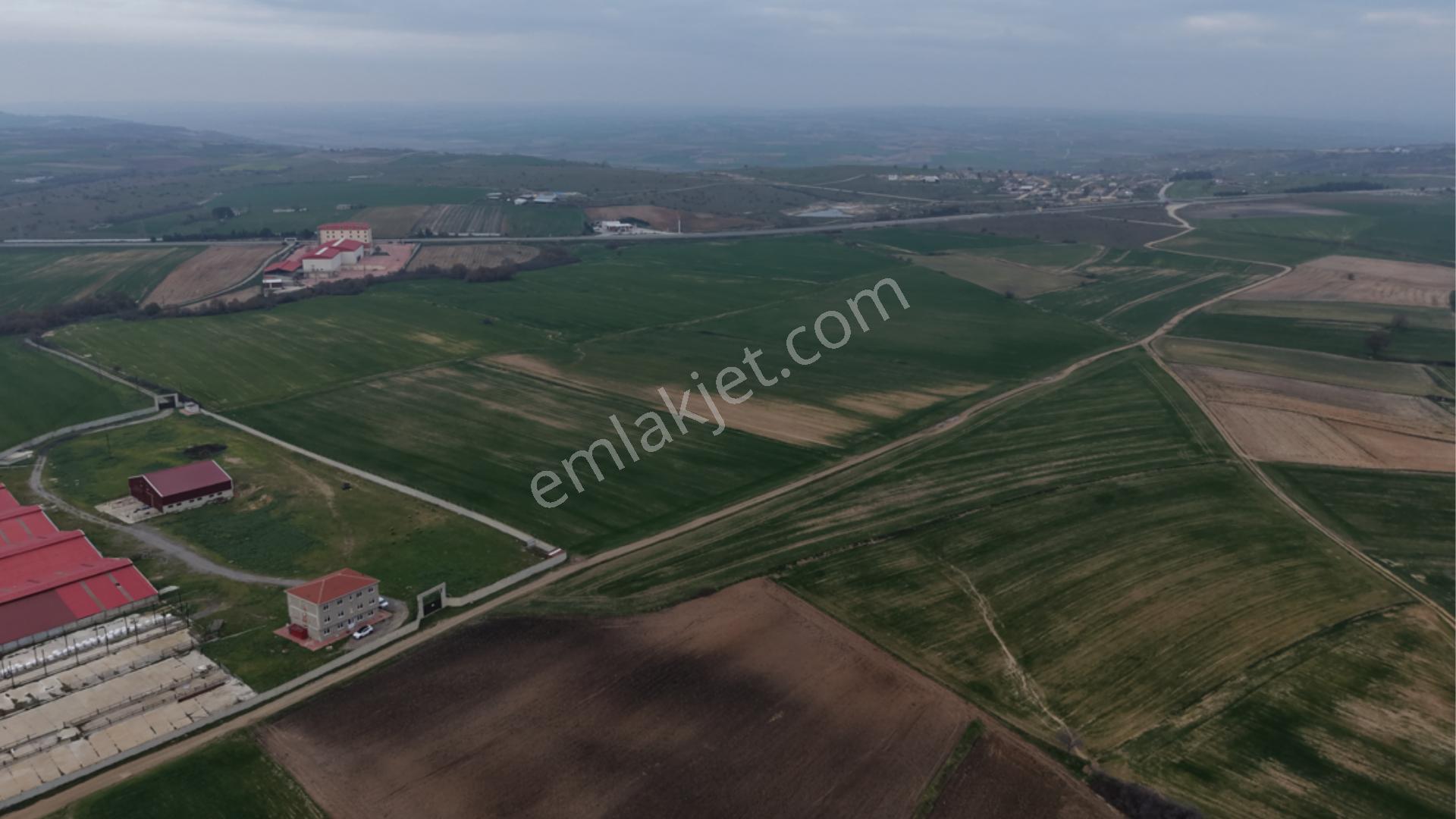Edirne İpsala Sarpdere-satılık Tarla-iki Ayrı Tapu-73.350 M2