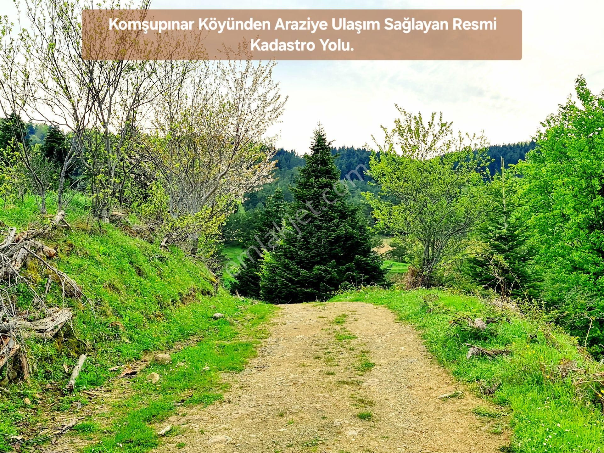 Samsun Bafra Komşupınar Köy Yakını 1.143 M2 Pınar Sulu Tarla. Sebze İçin. Açıklamayı Okuyunuz - Görsel 11