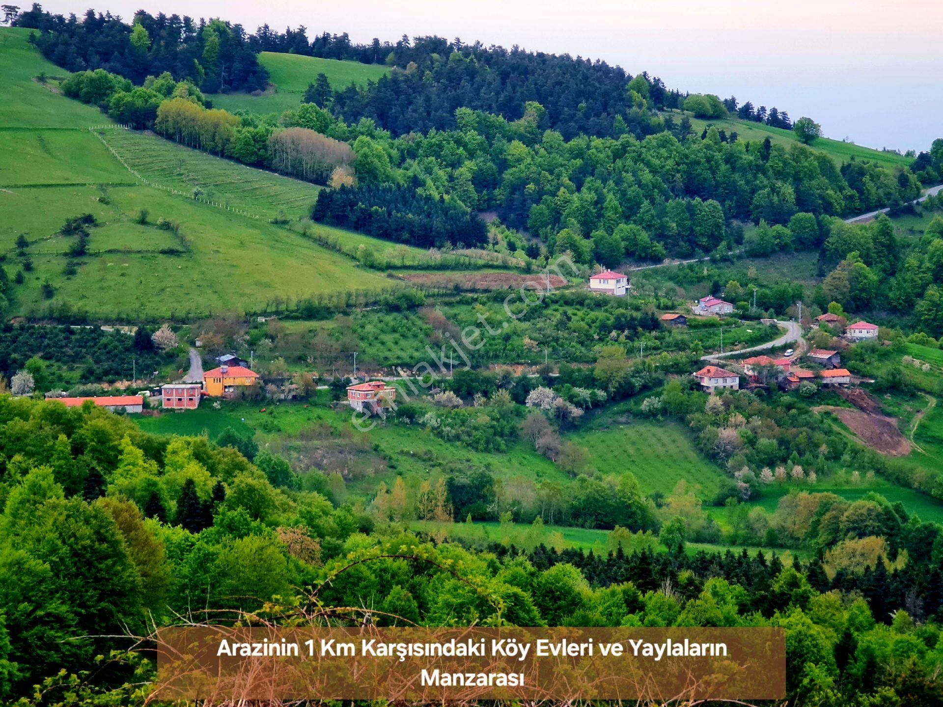 Samsun Bafra Komşupınar Köy Yakını 1.143 M2 Pınar Sulu Tarla. Sebze İçin. Açıklamayı Okuyunuz - Görsel 32