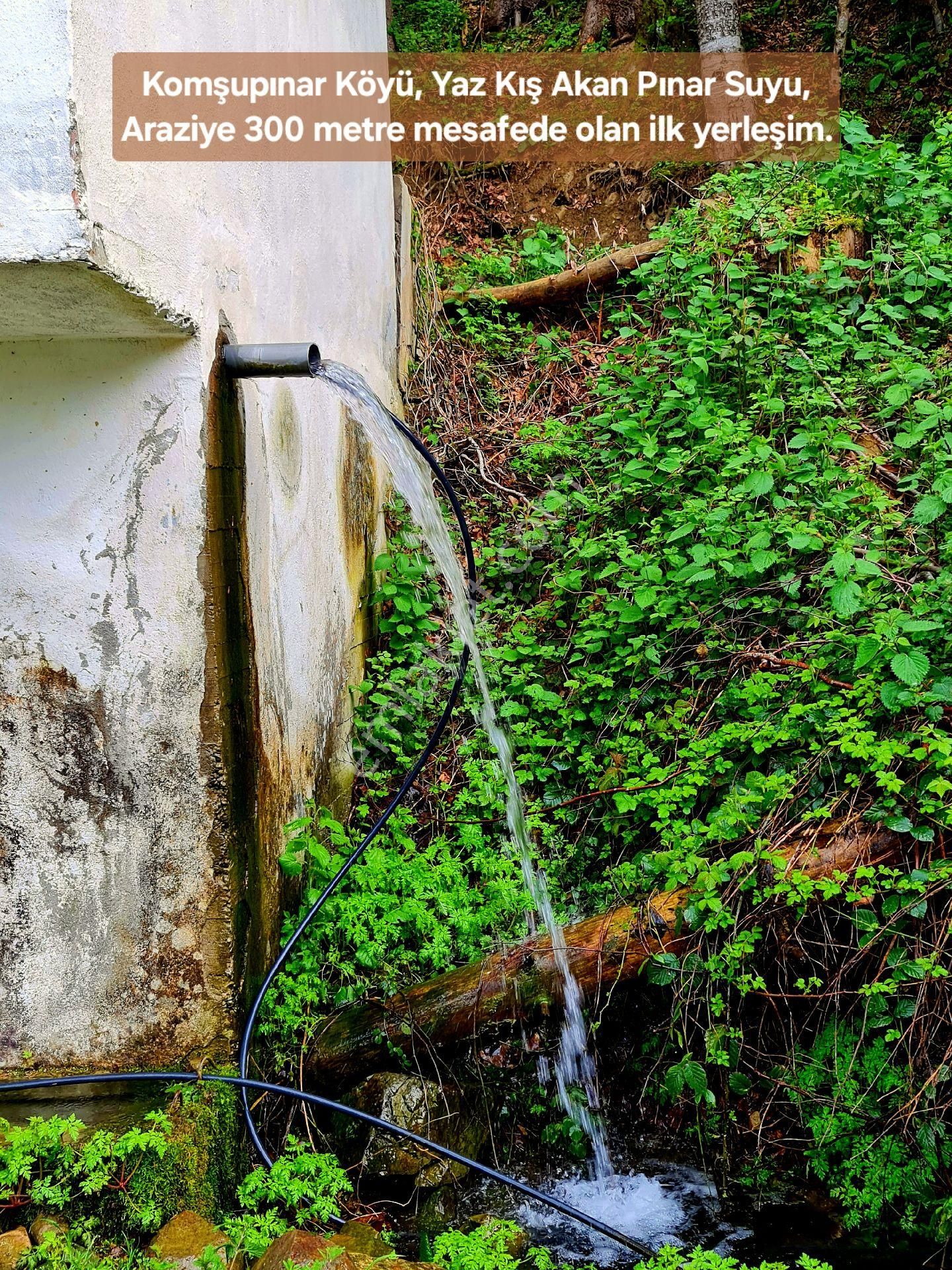 Samsun Bafra Komşupınar Köy Yakını 1.143 M2 Pınar Sulu Tarla. Sebze İçin. Açıklamayı Okuyunuz - Görsel 9