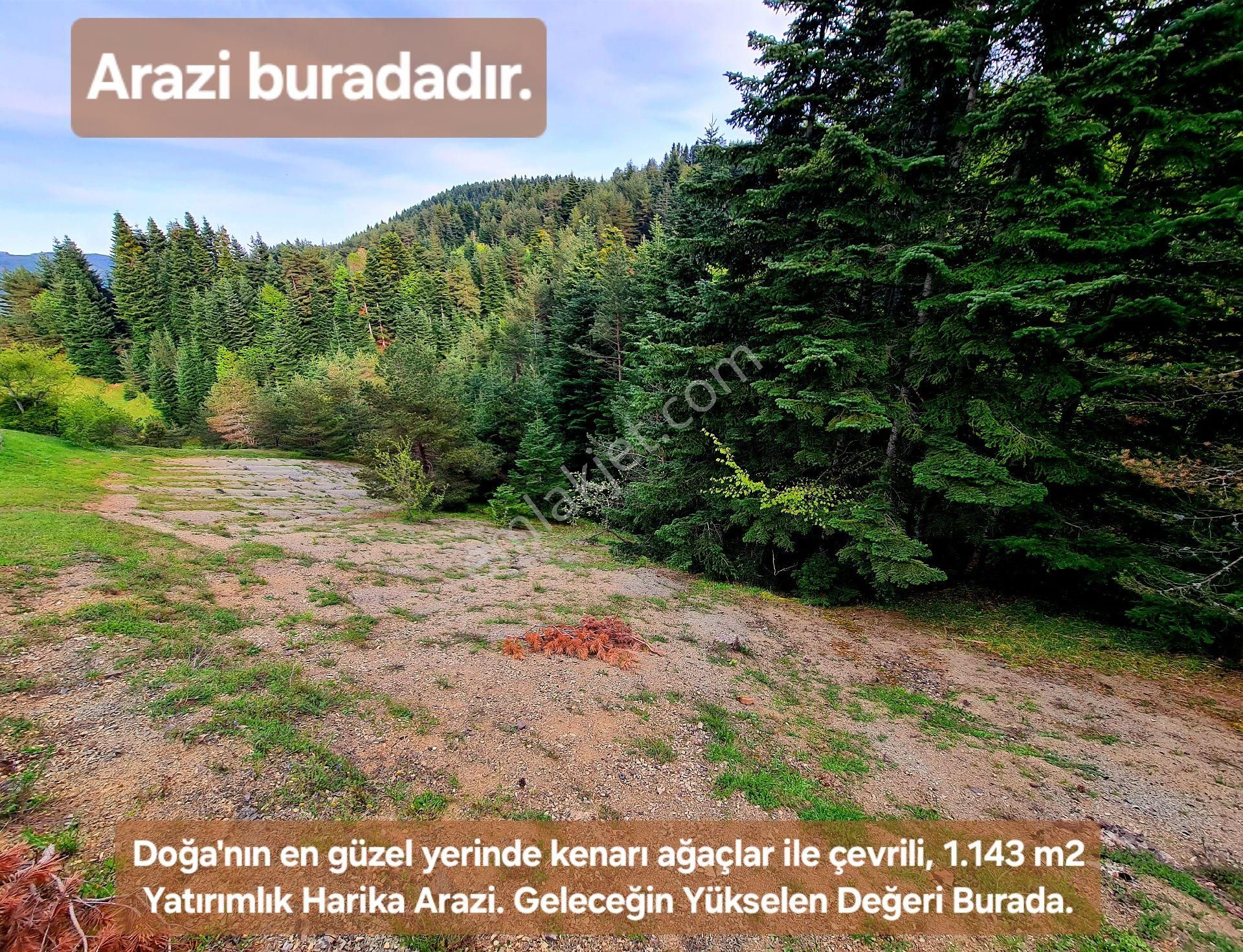 Samsun Bafra Komşupınar Köy Yakını 1.143 M2 Pınar Sulu Tarla. Sebze İçin. Açıklamayı Okuyunuz - Görsel 15