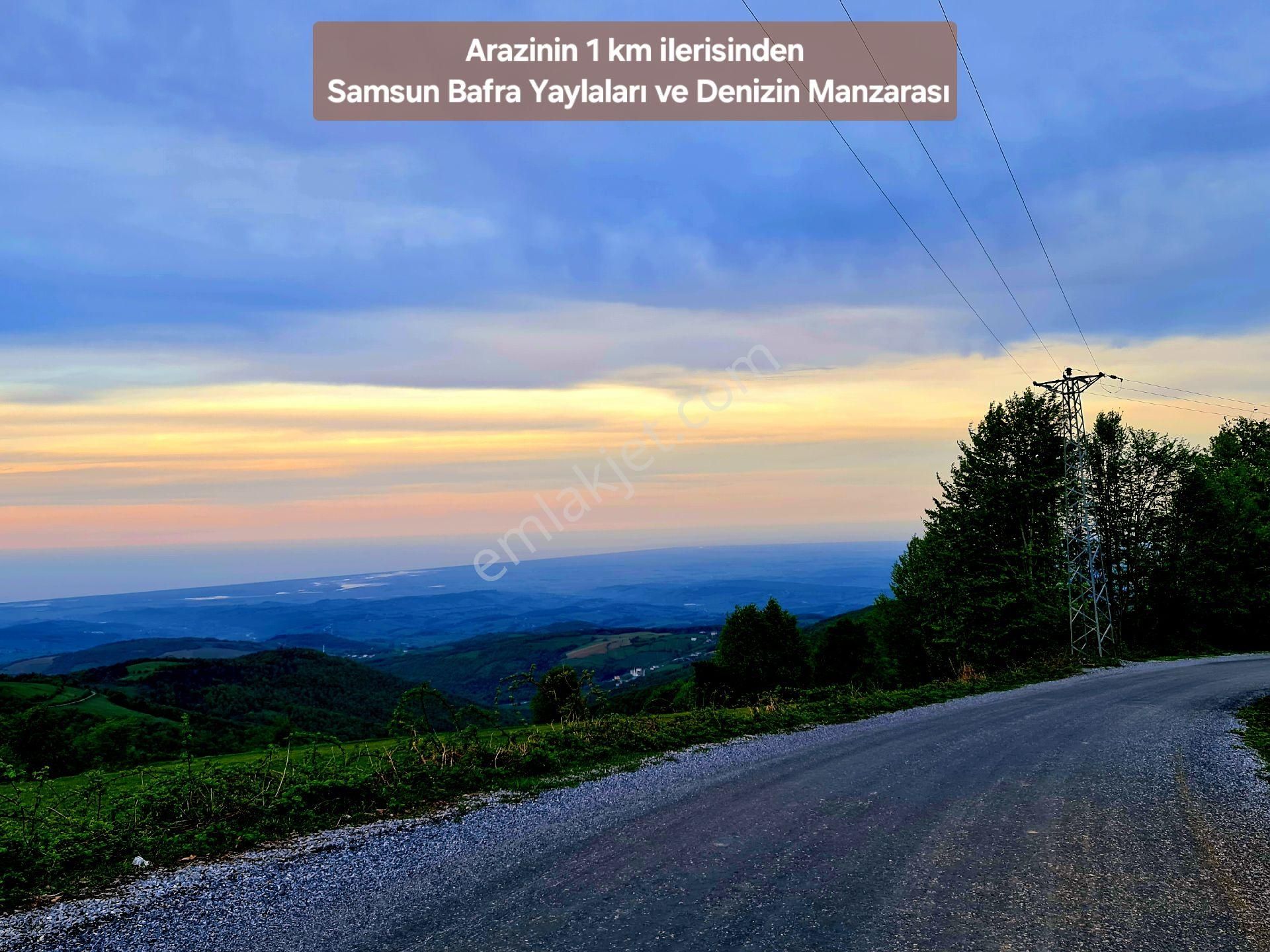 Samsun Bafra Komşupınar Köy Yakını 1.143 M2 Pınar Sulu Tarla. Sebze İçin. Açıklamayı Okuyunuz - Görsel 29