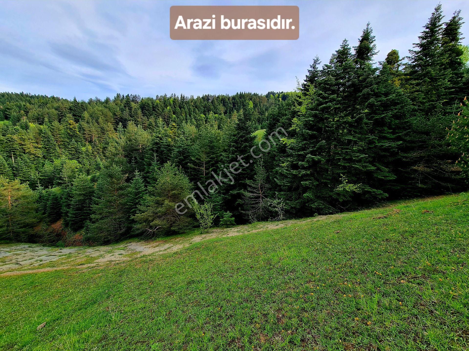 Samsun Bafra Komşupınar Köy Yakını 1.143 M2 Pınar Sulu Tarla. Sebze İçin. Açıklamayı Okuyunuz - Görsel 18