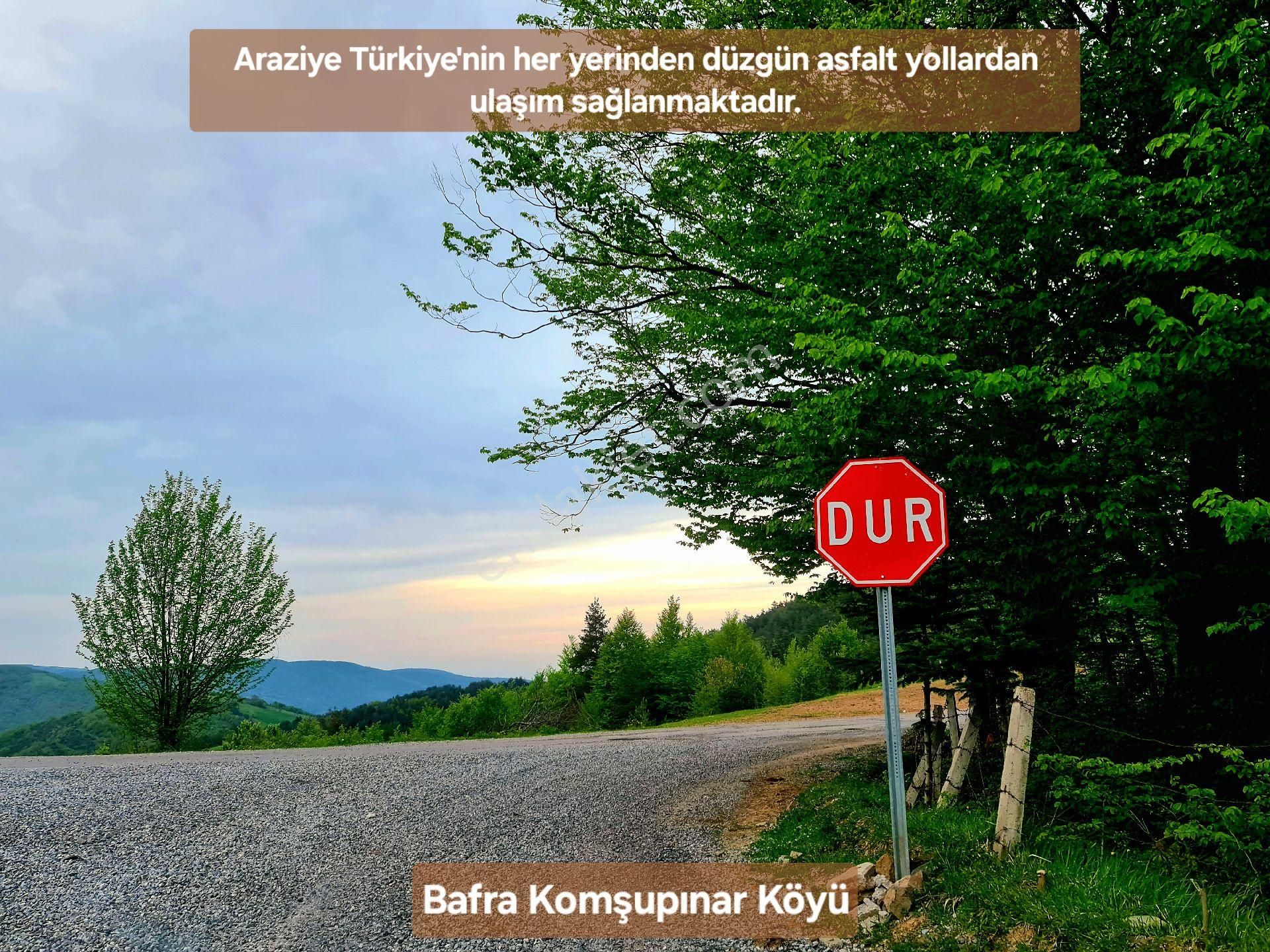 Samsun Bafra Komşupınar Köy Yakını 1.143 M2 Pınar Sulu Tarla. Sebze İçin. Açıklamayı Okuyunuz - Görsel 26