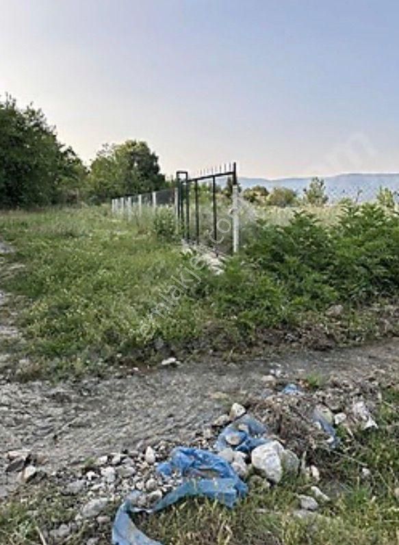 Niksar Ana Yol Kenarı Tek Hisse Etrafı Çevrili Cevizlik Tarla - Görsel 17