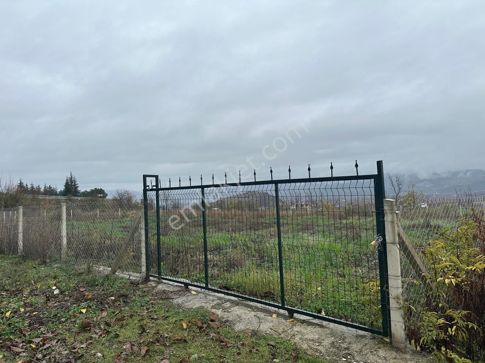 Niksar Ana Yol Kenarı Tek Hisse Etrafı Çevrili Cevizlik Tarla - Görsel 3