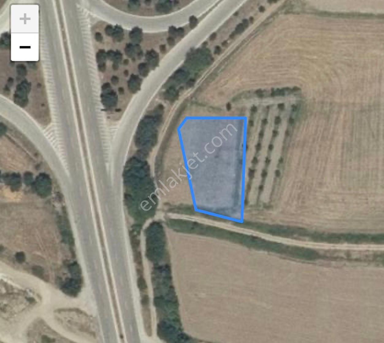 Niksar Ana Yol Kenarı Tek Hisse Etrafı Çevrili Cevizlik Tarla