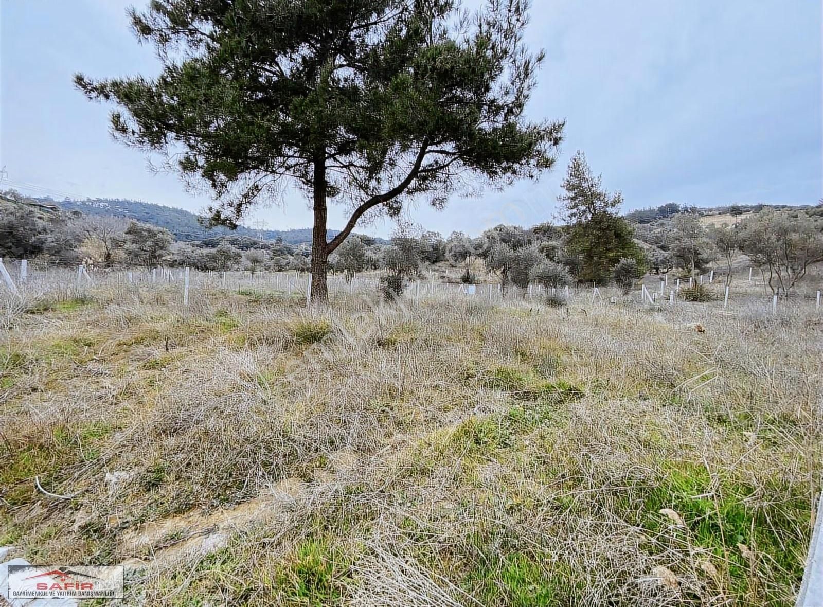 Safir'den Satılık Doğa İle İç İçe Muhteşem Yer Köye Yakın 300mt2 - Görsel 4
