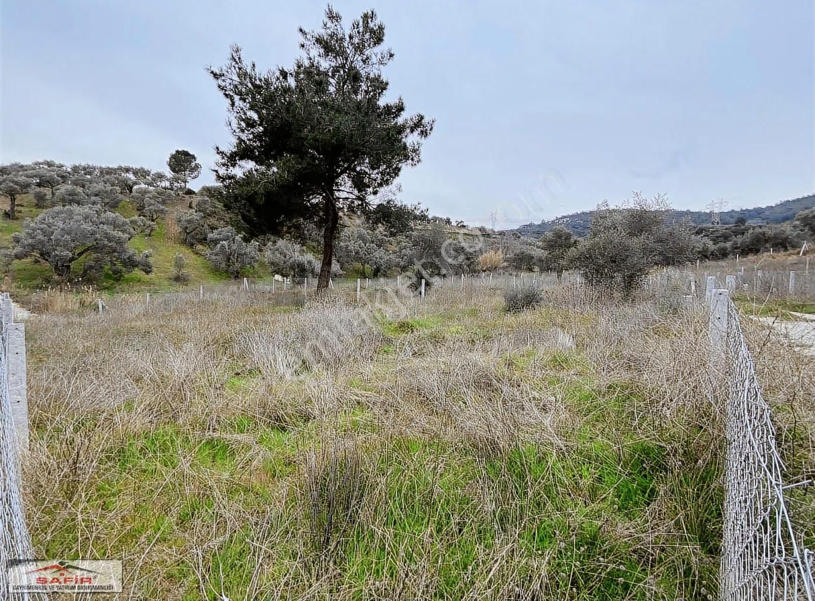 Safir'den Satılık Doğa İle İç İçe Muhteşem Yer Köye Yakın 300mt2 - Görsel 3