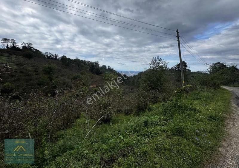 Çaka Çaytepede Fırsat 16 Dönüm Satılık Arsa