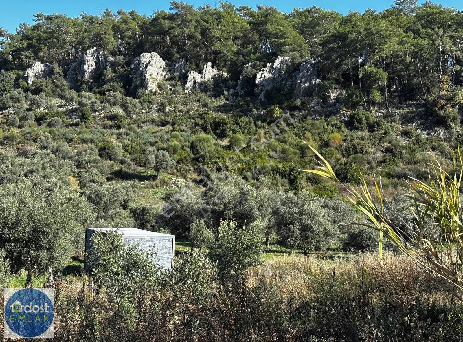 Dalaman Kapıkargın Çeştepe Mevkinde Satılık Tarla - Görsel 9