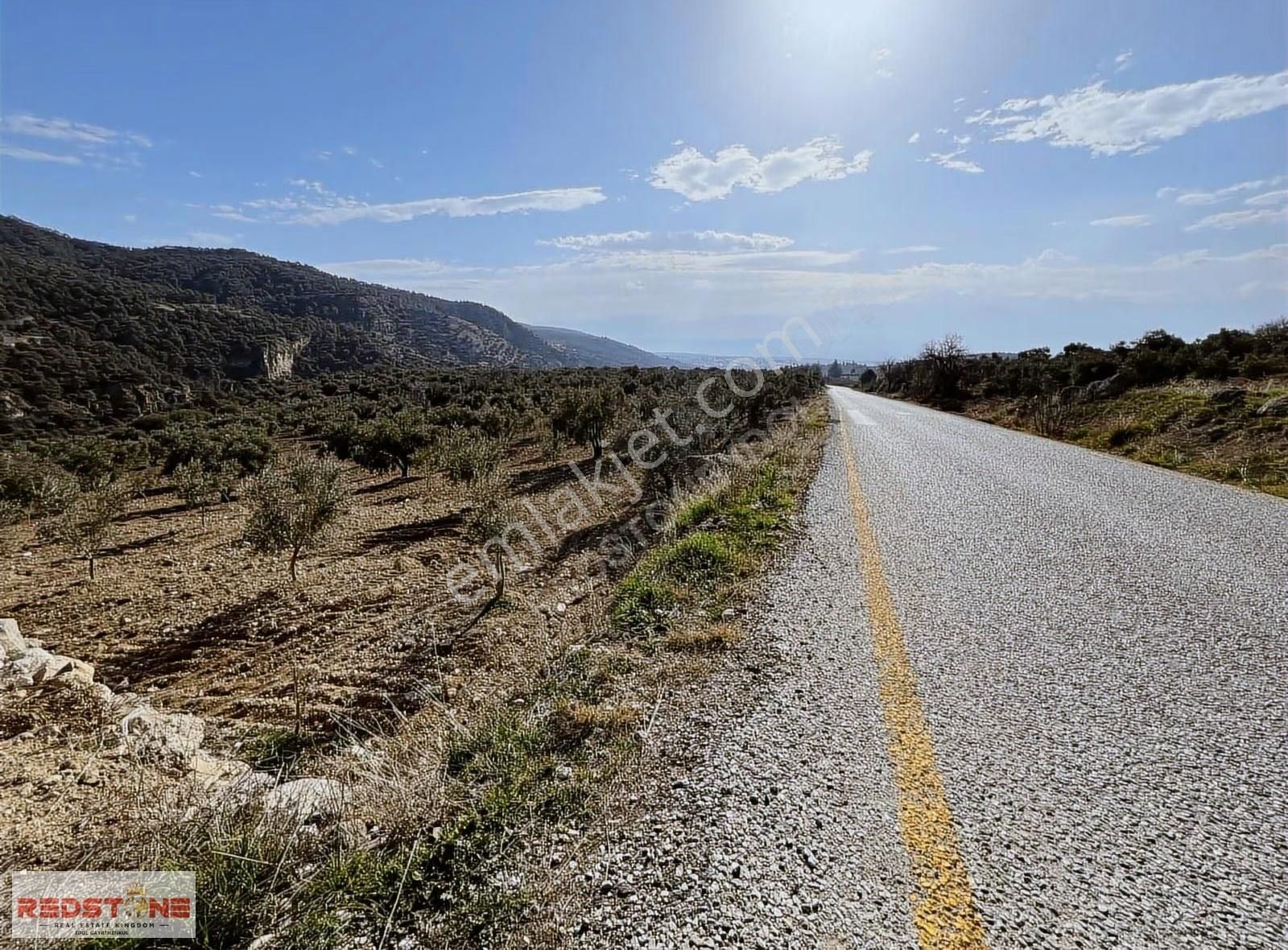 Redstone İdolden Zeytin Bahçesi - Görsel 5