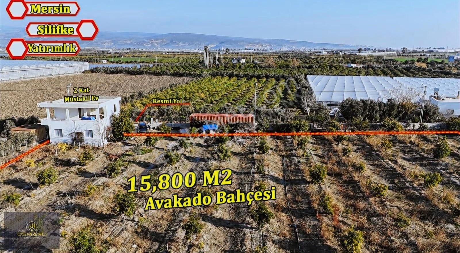 Silifke Kurtuluş 2 Katlı Müstakil Ev Ve 15800m2 Avukado Bahçesi - Görsel 3