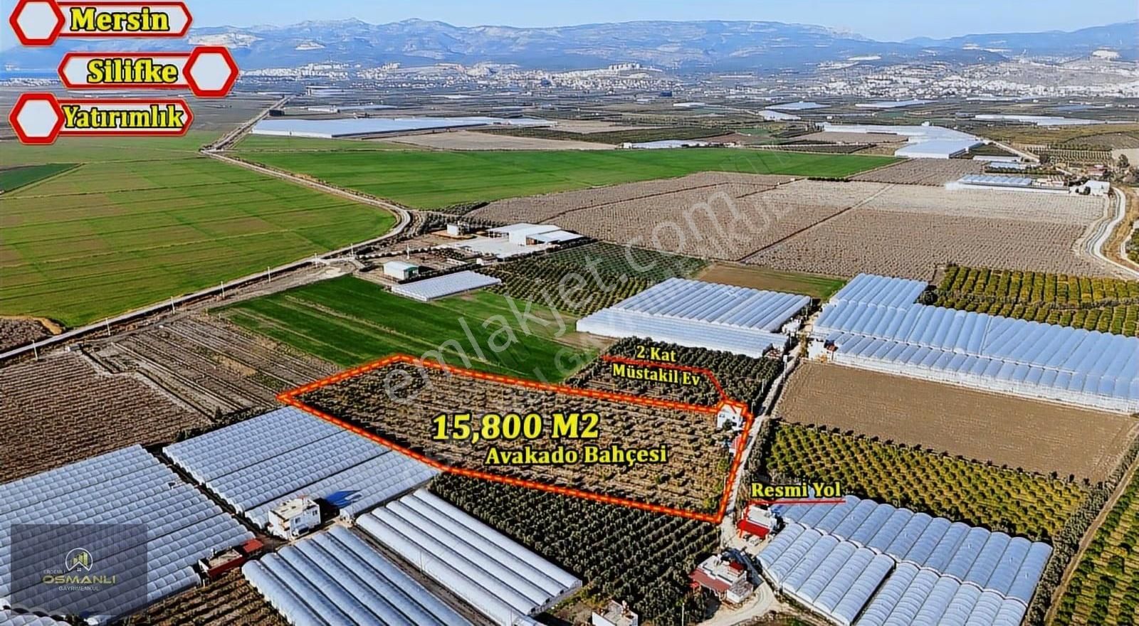 Silifke Kurtuluş 2 Katlı Müstakil Ev Ve 15800m2 Avukado Bahçesi