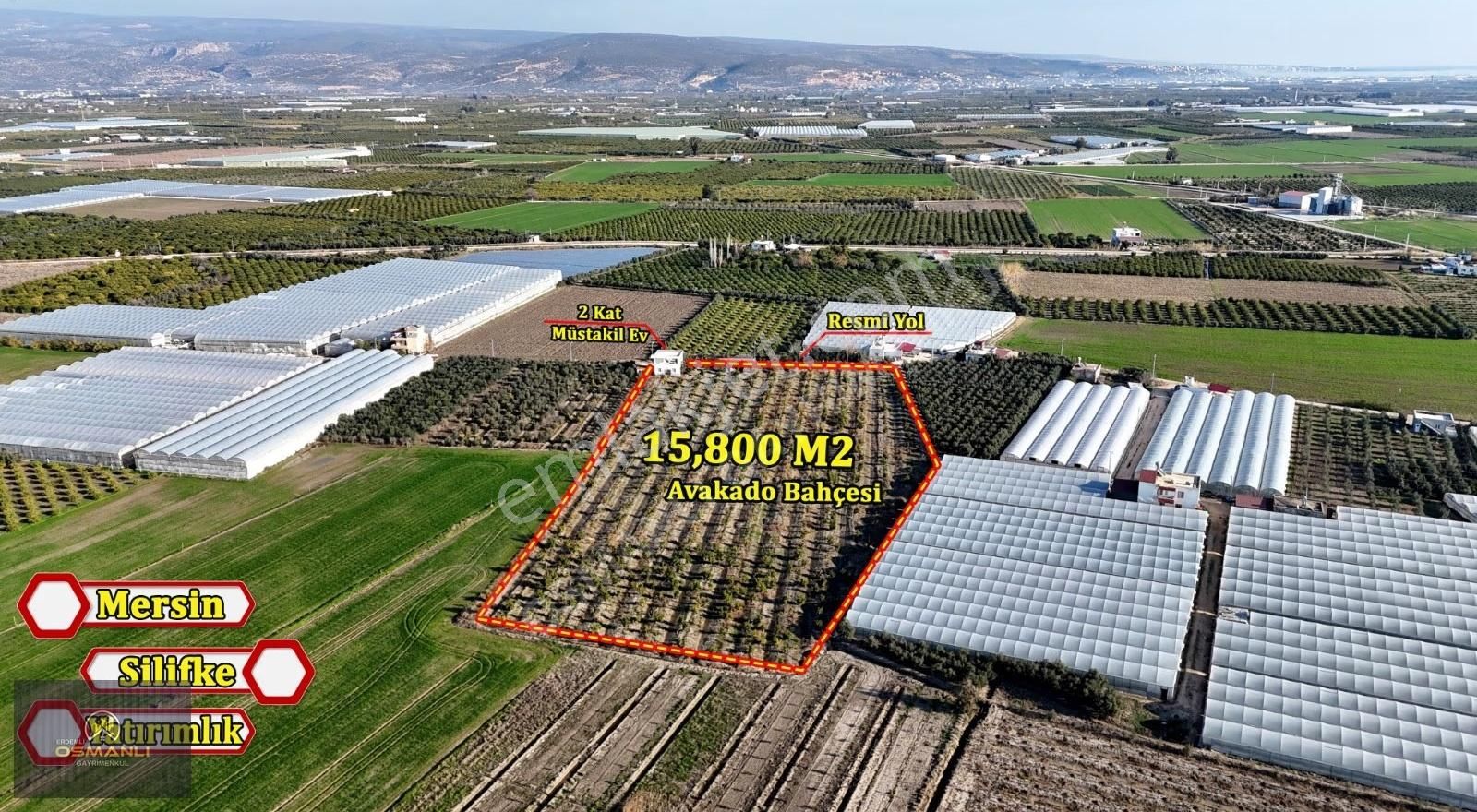 Silifke Kurtuluş 2 Katlı Müstakil Ev Ve 15800m2 Avukado Bahçesi - Görsel 2