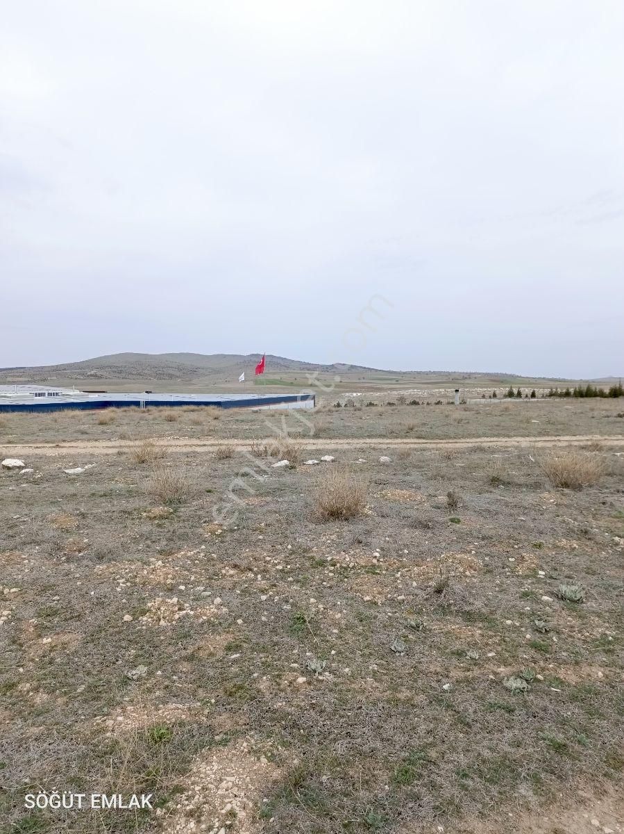 Söğüt Emlak'tan Pınar Mermer Yanında Satılık Tarla Sanayi İmarlı - Görsel 5