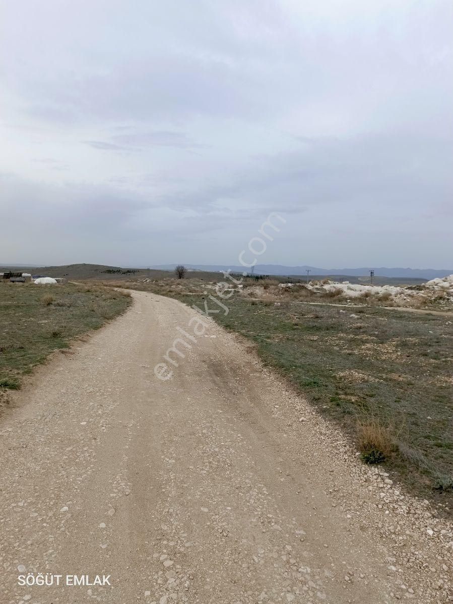 Söğüt Emlak'tan Pınar Mermer Yanında Satılık Tarla Sanayi İmarlı - Görsel 7