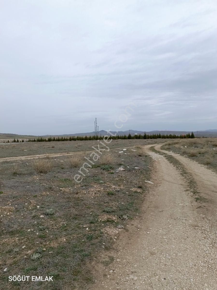 Söğüt Emlak'tan Pınar Mermer Yanında Satılık Tarla Sanayi İmarlı - Görsel 4