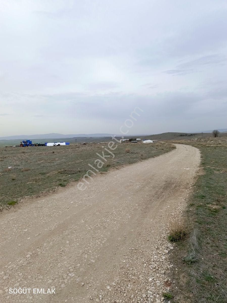 Söğüt Emlak'tan Pınar Mermer Yanında Satılık Tarla Sanayi İmarlı - Görsel 2