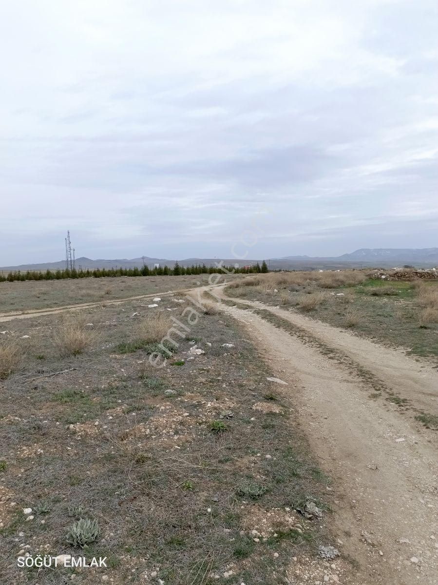Söğüt Emlak'tan Pınar Mermer Yanında Satılık Tarla Sanayi İmarlı - Görsel 6